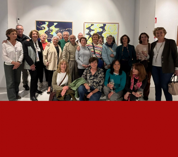 Visita de los médicos seniors a la Central Art Gallery